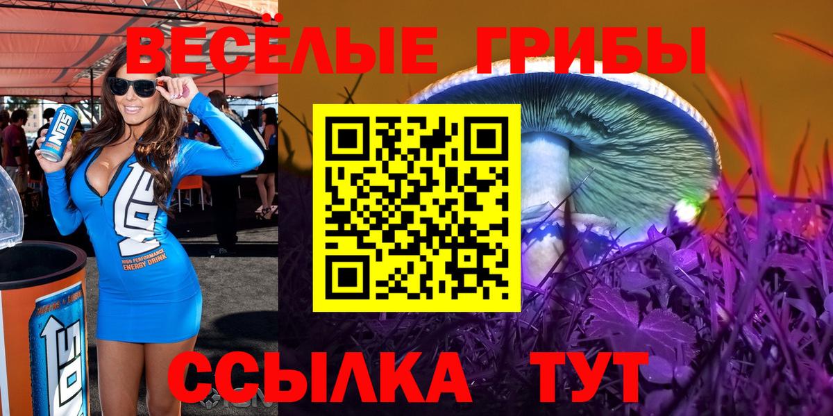 Псилоцибиновые грибы прущие грибы  Псилоцибиновые грибы GOLDEN TEACHER  Вход с VPN  Улан-Удэ 